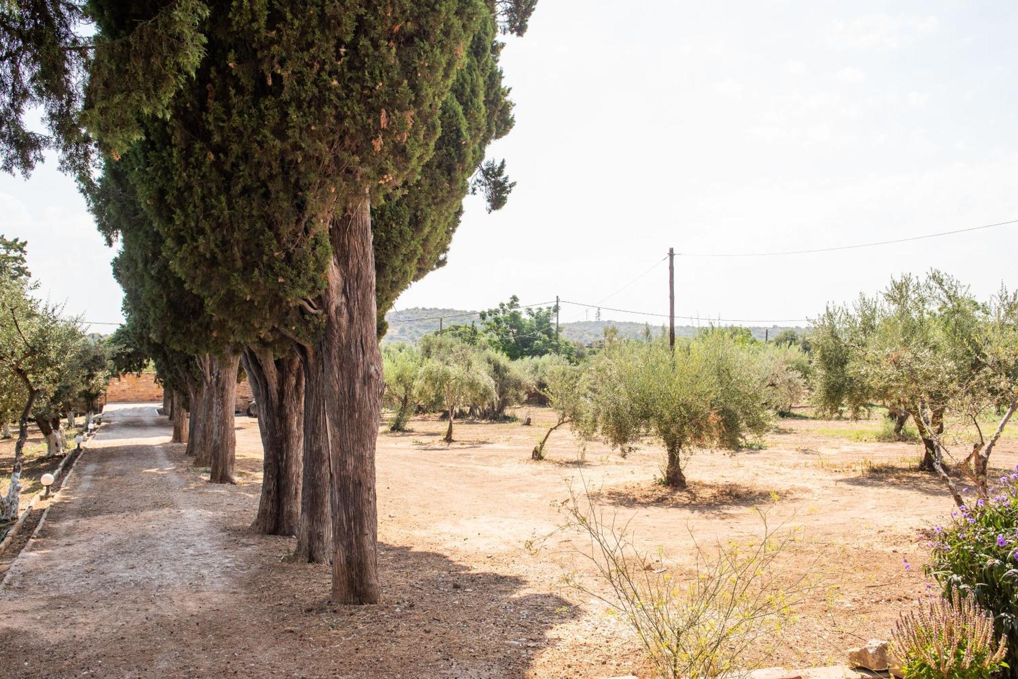 Calvocoressi Estate คีออส ภายนอก รูปภาพ
