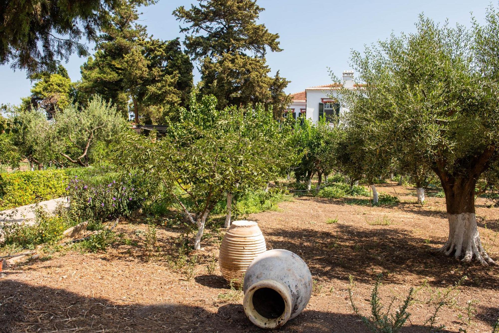 Calvocoressi Estate คีออส ภายนอก รูปภาพ