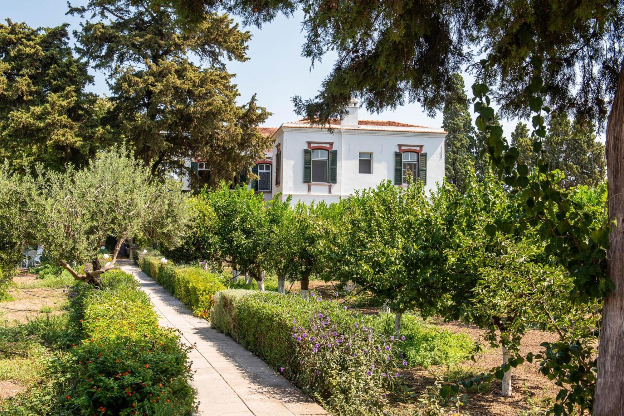 Calvocoressi Estate คีออส ภายนอก รูปภาพ