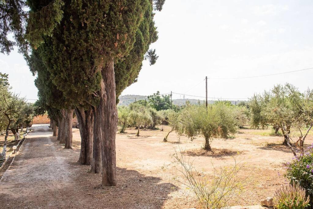 Calvocoressi Estate คีออส ภายนอก รูปภาพ